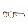 HORS COLLECTION VANNI UOMO LV2101 A16  Taille / Branche : 48 - 20 / 145 MM