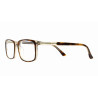 HORS COLLECTION VANNI UOMO LV5607 A260  Taille / Branche : 54 - 18 / 145 MM