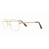 HORS COLLECTION VANNI UOMO LV6201 C10  Taille / Branche : 53 - 18 / 140 MM