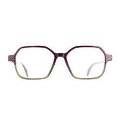 HORS COLLECTION VANNI UOMO LV6614 A68  TAILLE / BRANCHE : 54 - 15 / 145 MM