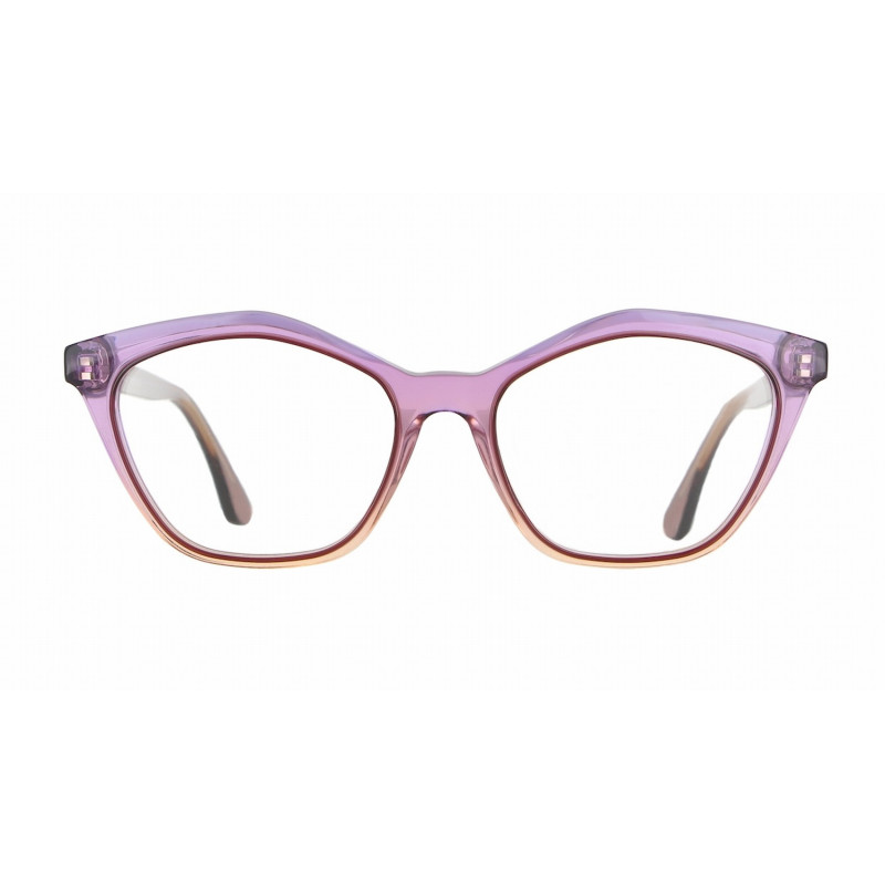 VANNI LV1665 A38  Taille / Branche : 52 - 17 / 145 MM